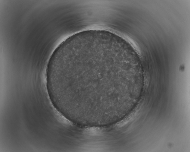 X0000116480950201001201339