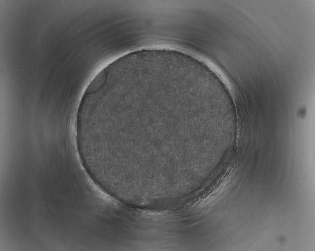 X0000116480951201001201339