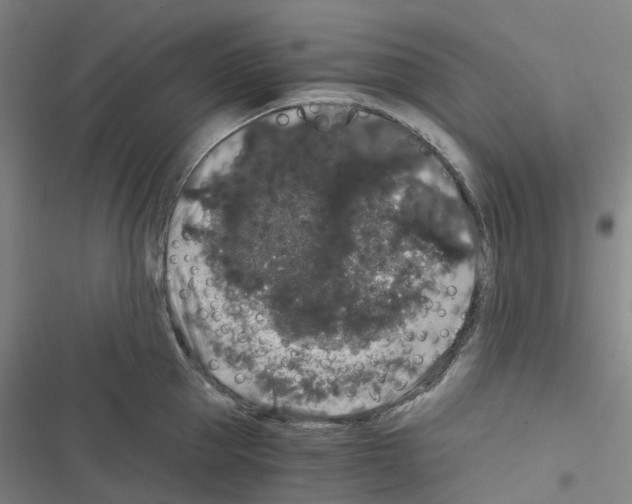 X0000116480953201001201339