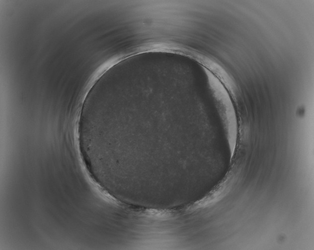 X0000116480954201001201339