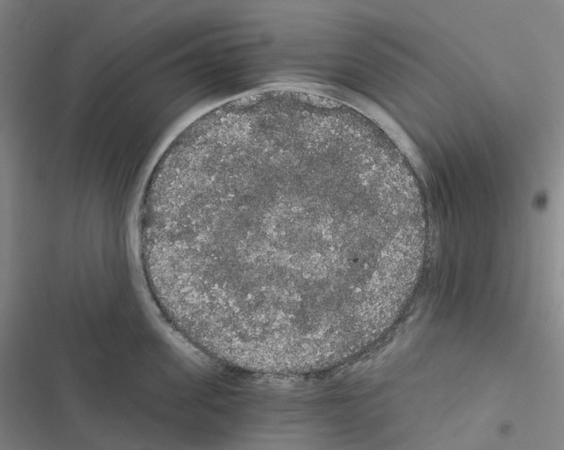 X0000116480955201001201339