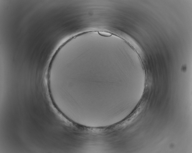 X0000116480958201001201339