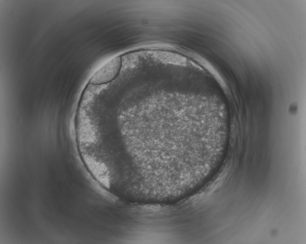 X0000116480959201001201339