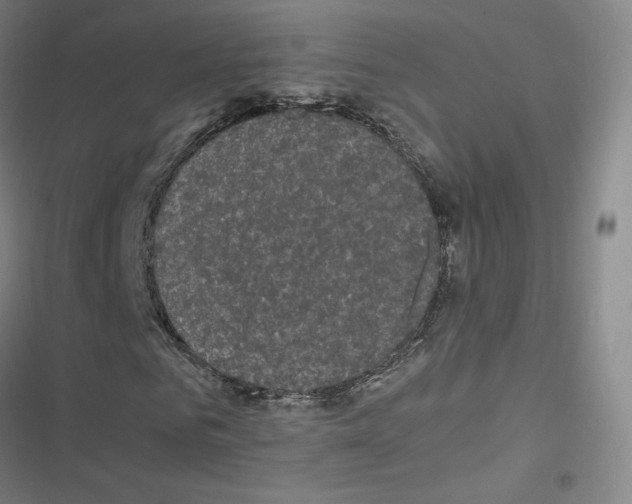 X0000116480961201001201339