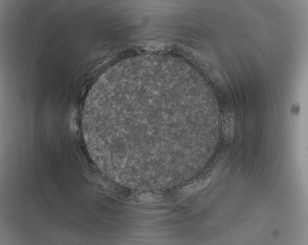 X0000116480962201001201339