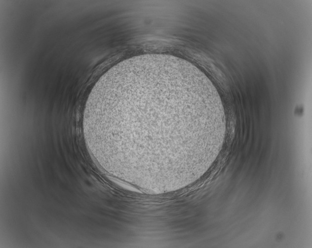 X0000116480964201001201339