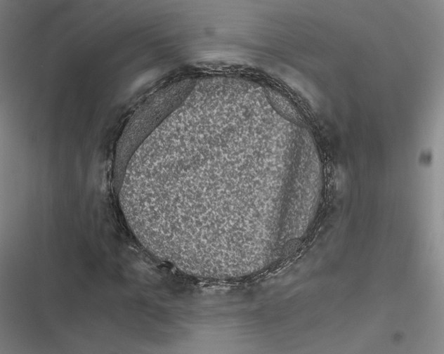 X0000116480965201001201339