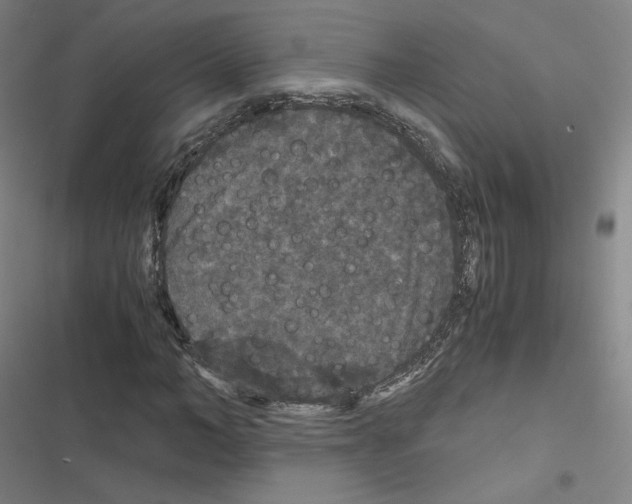 X0000116480966201001201339