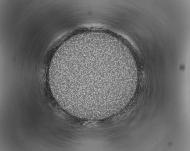 X0000116480967201001201339