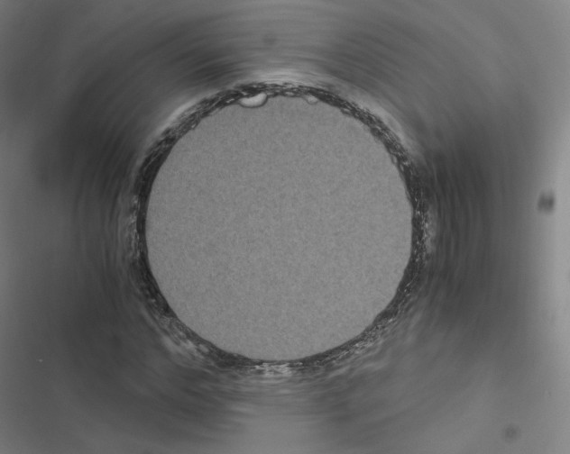 X0000116480968201001201339