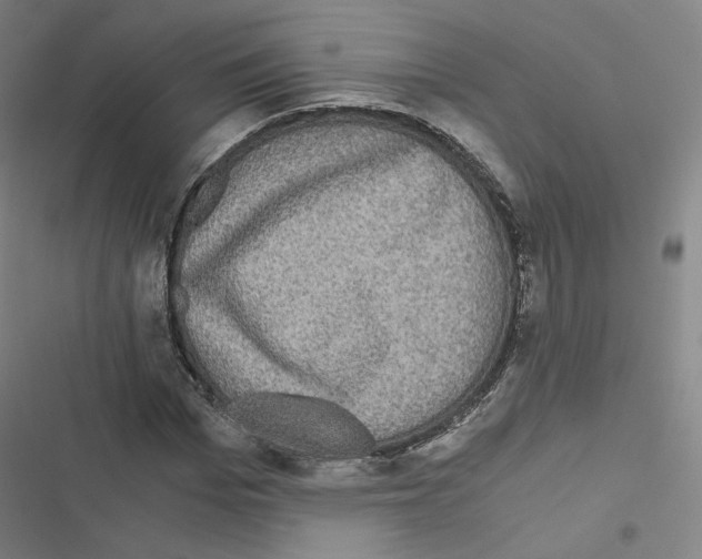 X0000116480969201001201339