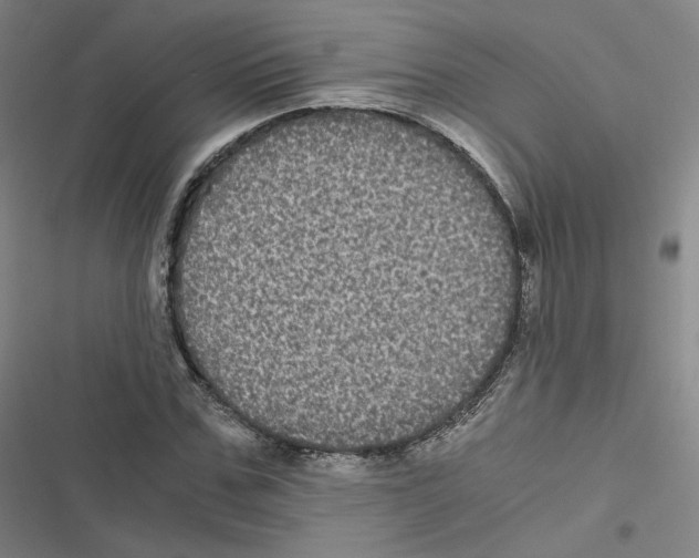 X0000116480971201001201339