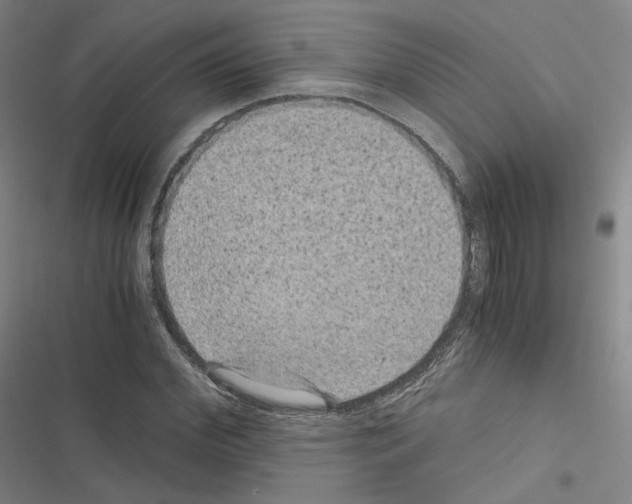 X0000116480972201001201339