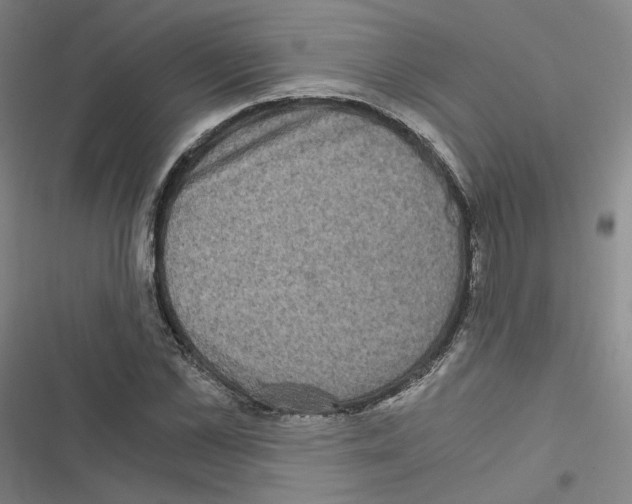 X0000116480973201001201339