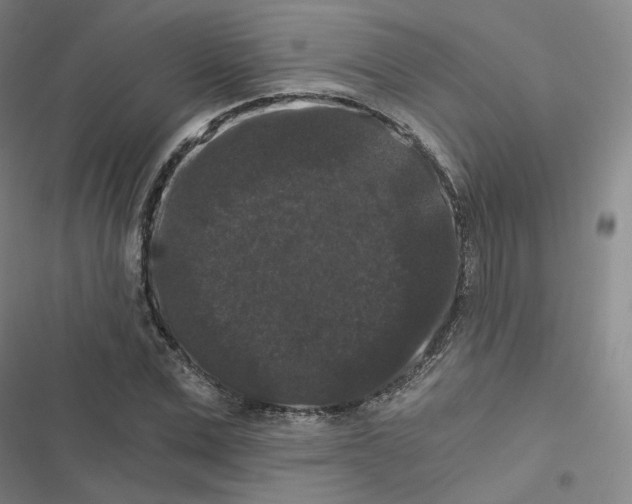 X0000116480975201001201339