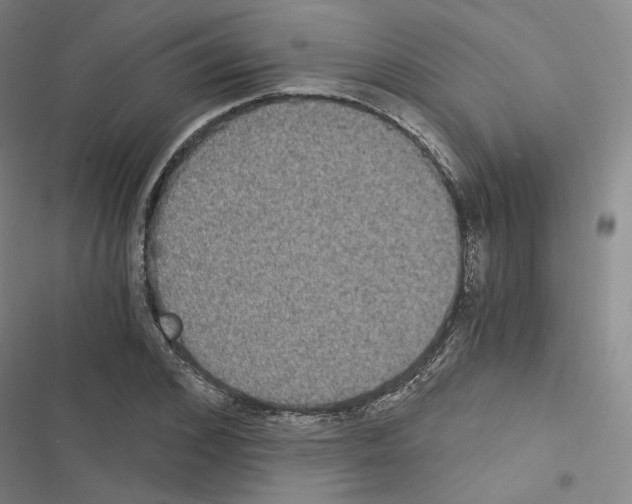 X0000116480976201001201339