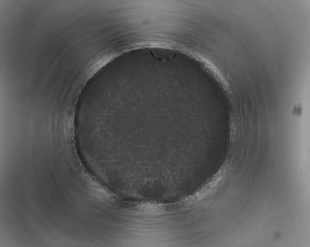 X0000116480977201001201339