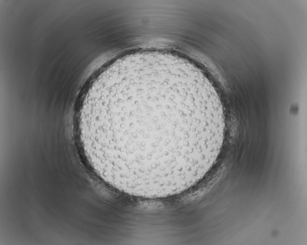 X0000116480978201001201339