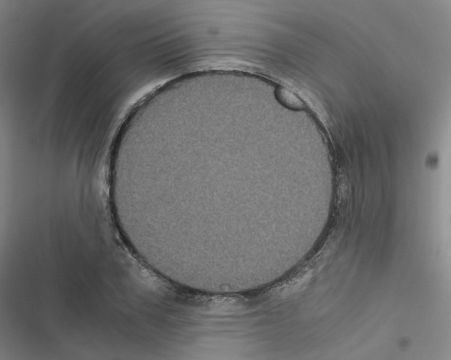 X0000116480979201001201339