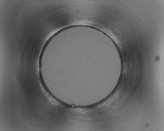 X0000116480980201001201339