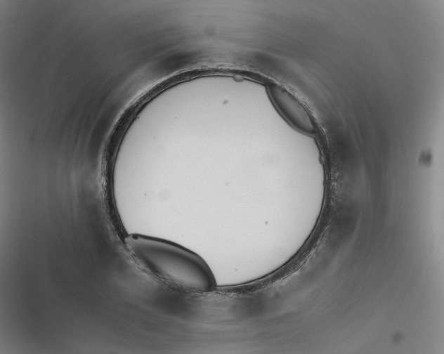 X0000116480981201001201339