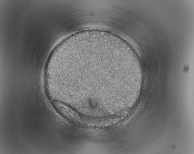 X0000116480983201001201339