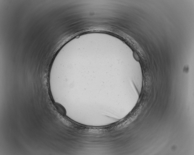 X0000116480985201001201338