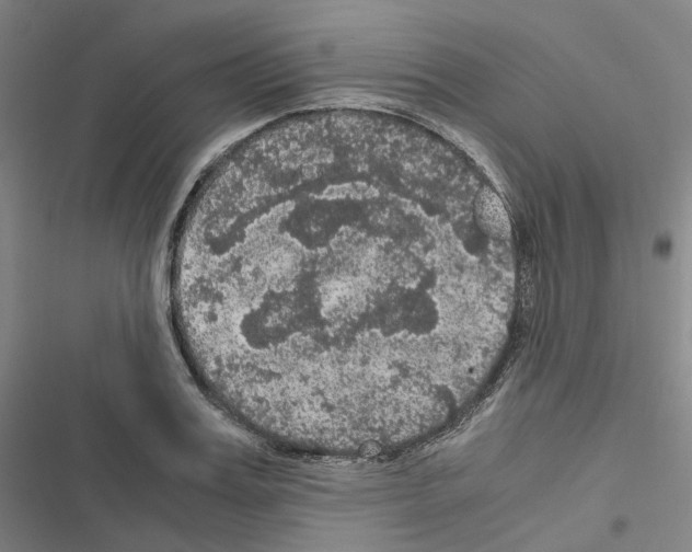 X0000116480987201001201338