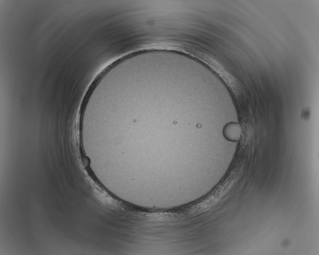 X0000116480988201001201338