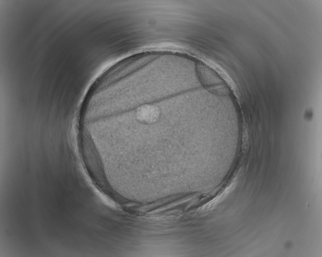 X0000116480989201001201338