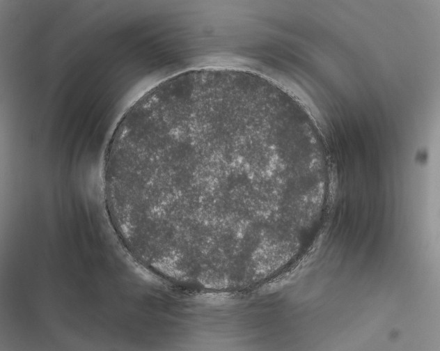 X0000116480990201001201338