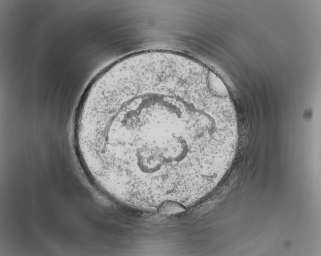 X0000116480991201001201338