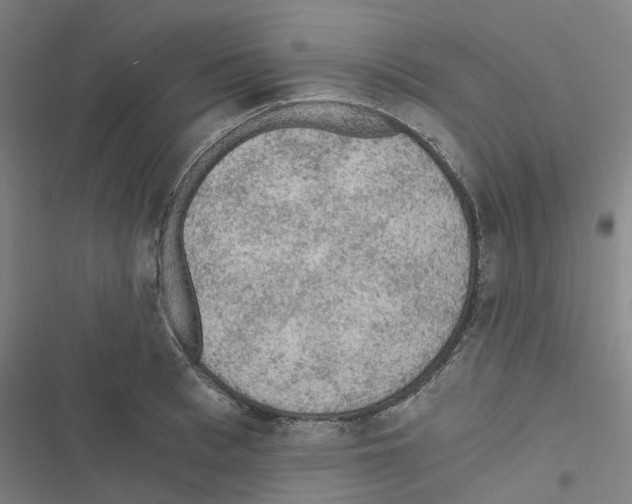 X0000116480993201001201338