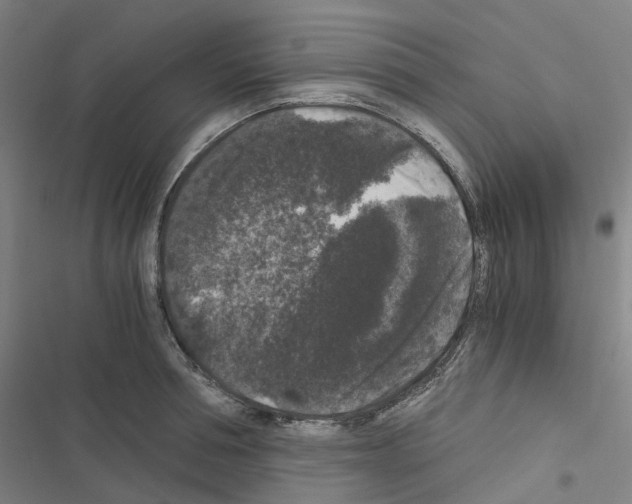 X0000116480994201001201338