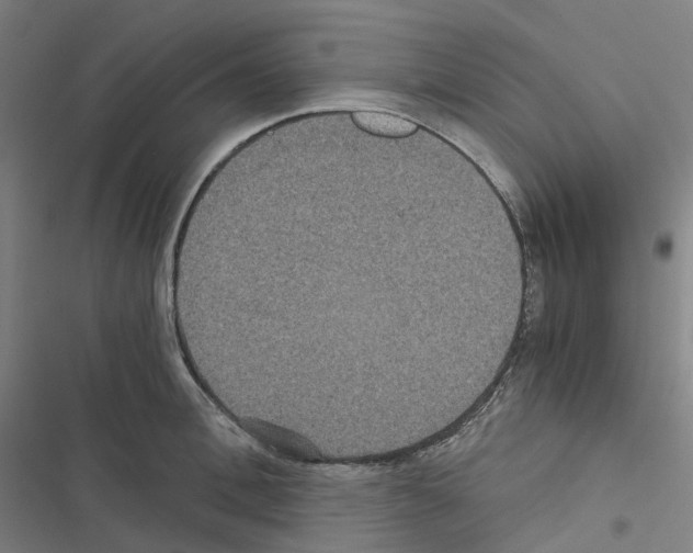 X0000116480996201001201338