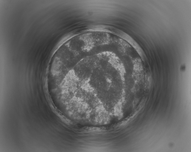 X0000116481002201001201338