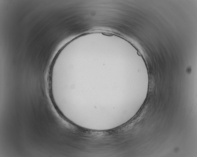 X0000116481003201001201338