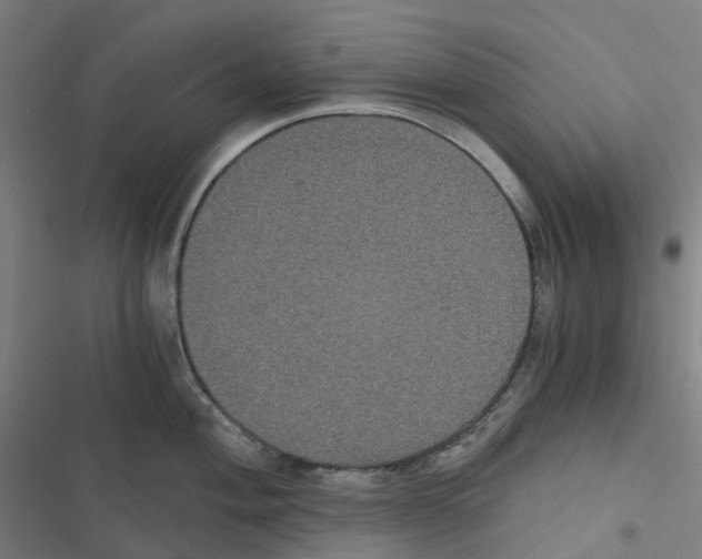 X0000116481004201001201338