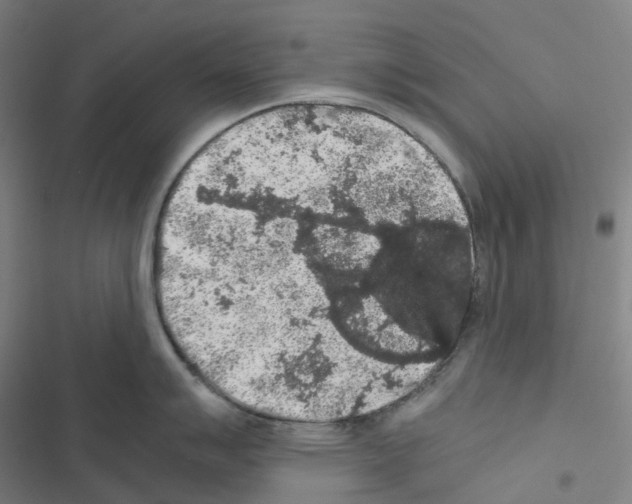 X0000116481007201001201338