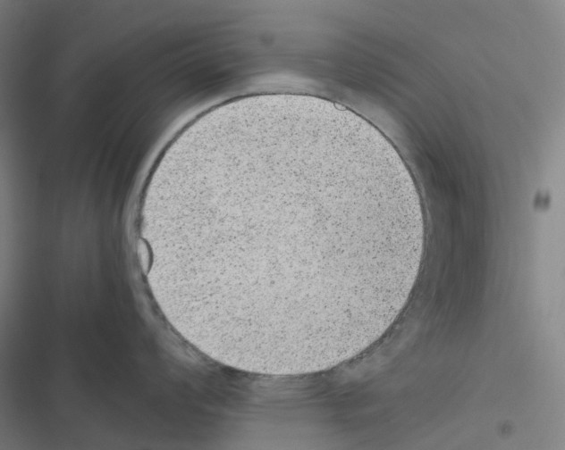 X0000116481008201001201338