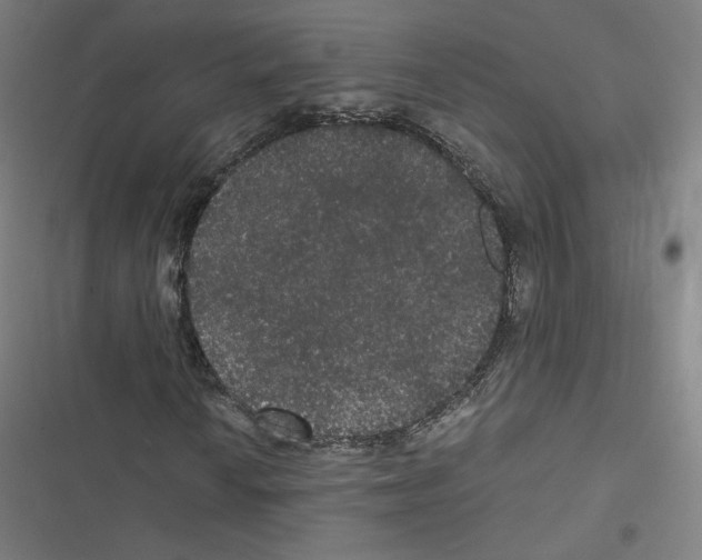 X0000116481010201001201338