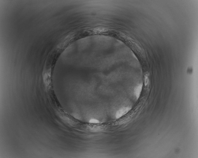 X0000116481011201001201338