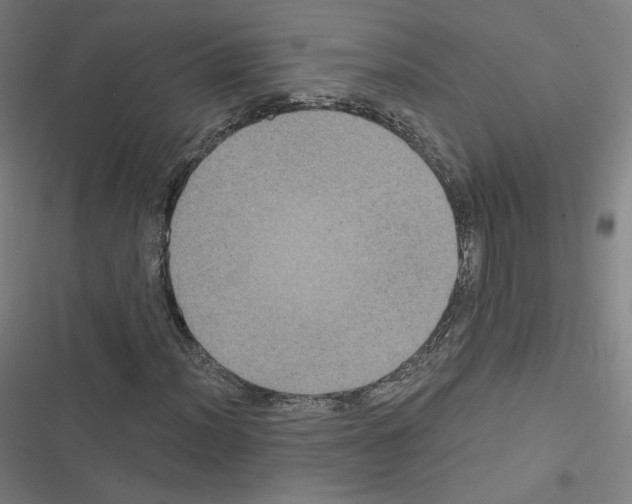 X0000116481012201001201338