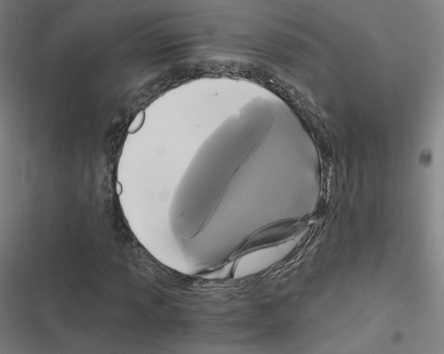 X0000116481013201001201338