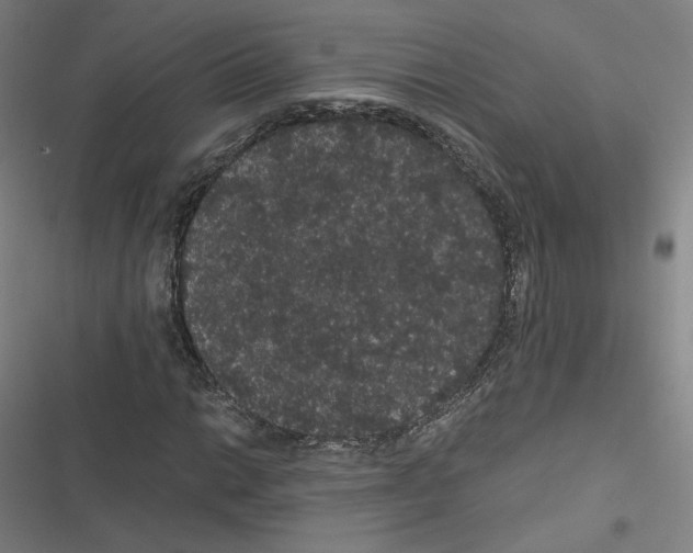 X0000116481014201001201338