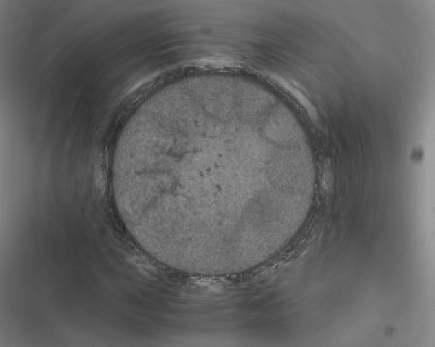 X0000116481015201001201338