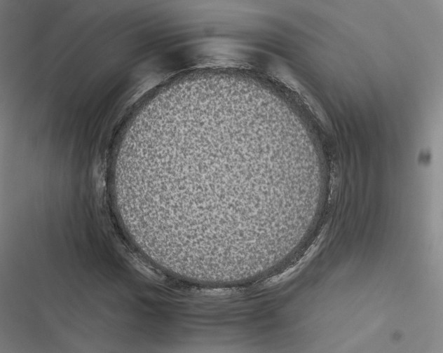 X0000116481017201001201338