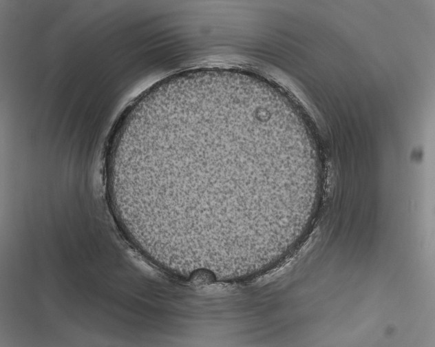 X0000116481018201001201338