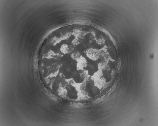 X0000116481019201001201338