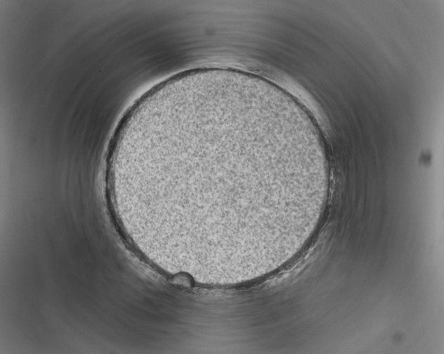 X0000116481020201001201338